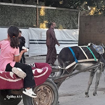 In Nuseirat, Palestinian Territories, a young girl wearing a pink shirt and black pants sits on a cart pulled by a donkey. She holds a white object in her hand. Behind her, a person in a brown robe walks. The cart has a maroon seat with a white design. The donkey is outfitted with a harness and a blue strap. A chain connects the donkey to the cart. The background consists of a wall covered with camouflage netting and white sheeting. The ground is dirt. The "Galaxy A14" watermark is present in the lower left corner of the image.