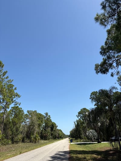 This image depicts a paved road winding through a vegetated area, likely a residential or suburban neighborhood, under a clear blue sky. The road is lined with various types of trees, including tall pine trees and palm trees. On the right side of the road, there is a neatly manicured lawn with some trash receptacles visible. The overall impression is one of a sunny day in a natural or semi-natural setting, possibly in a warm climate. The location is identified as Lehigh Acres, United States of America.