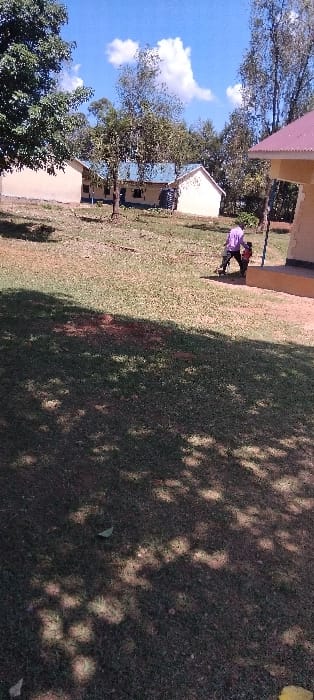 The image shows a grassy field in Bungoma, Kenya, at coordinates 0.554 latitude and 34.774 longitude.  Two adults are walking away from the camera in the distance. The adults are both wearing casual clothing. The image was taken on a sunny day. There are several trees in the background, including a large tree on the left side of the image. There are also several buildings in the background, including a school building with a blue roof. The scene is calm and peaceful.  The ground is covered in short green grass and dappled with sunlight.  The field is surrounded by trees and buildings.  There are also several shadows cast on the ground by the trees and the adults.