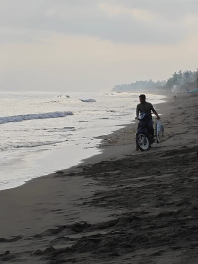 In Curehtunong, Indonesia, on a beach with dark sand, a man rides a dark-colored scooter. He is wearing a dark green t-shirt and dark pants. He is carrying two large fish, which are hanging from his right hand. The scooter has a white rim on the rear wheel. The ocean is to the left of the man, with gentle waves washing onto the shore. In the distance, palm trees line the coast. The sky is overcast with a pale, hazy light. There are some small pieces of debris on the sand near the water's edge.