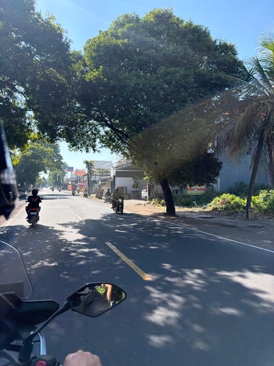 The image depicts a street scene in Buleleng, Indonesia, on a sunny day. The perspective is from a person riding a scooter, as evidenced by the handlebar and rearview mirror in the foreground. The road is paved with asphalt and marked with a yellow line. Several other scooters are visible on the road, with riders wearing helmets, suggesting traffic is active. On either side of the road, there are trees providing shade, with their leaves casting dappled shadows on the pavement. Buildings line the right side of the street, including what appears to be a convenience store with signage, and other structures with storefronts. Vegetation, including bushes and palm trees, is present along the roadside and in front of some buildings. The sky is clear and blue. One of the signs visible reads "Alfamart," a common convenience store chain in Indonesia.