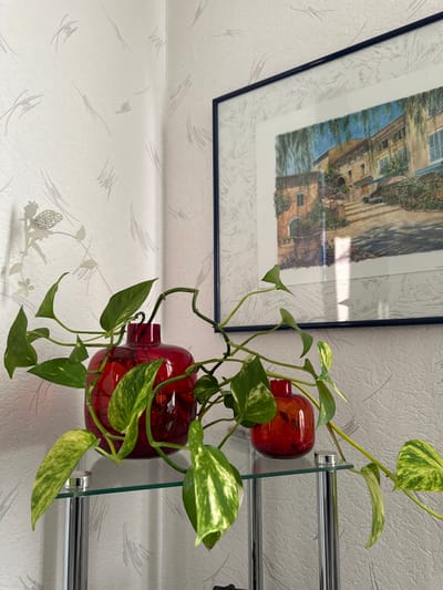 This is a close-up, eye-level interior shot of a decorative still life in Dietzhölztal, Germany. In the foreground, a vibrant green Pothos plant with variegated leaves is arranged in two striking red glass vases. The larger vase is positioned to the left, while a smaller one sits to its right. These vases are resting on a transparent glass shelf supported by sleek, cylindrical chrome legs. The shelf itself is part of a multi-tiered shelving unit, also visible supporting the plant. Behind the plant and vases, a textured, light-colored wallpaper with subtle gray scribbled patterns adorns the wall. To the upper right, a framed artwork hangs on the wall. The painting depicts a sun-drenched European village scene with buildings, a street, and lush greenery. A white vertical light streak is visible on the glass of the frame, indicating a light source from the right. A faint shadow of a small, decorative metal fairy figure on a vine is cast on the wall to the left of the artwork. The overall scene is static and well-lit, with natural light illuminating the subjects.