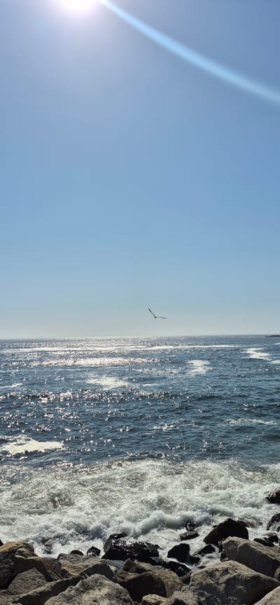 The image depicts a seascape with a clear blue sky and a body of water, likely the ocean given the location context of Vila do Conde, Portugal. The sun is shining brightly, casting a strong light that creates a lens flare effect on the left side of the frame and causes the water's surface to sparkle. The water is dark blue with white waves crashing onto a rocky shore on the right side of the image. A single bird is captured mid-flight in the sky above the water. The scene appears tranquil and natural, suggesting a daytime setting under fair weather conditions. There is no visible text in the image.