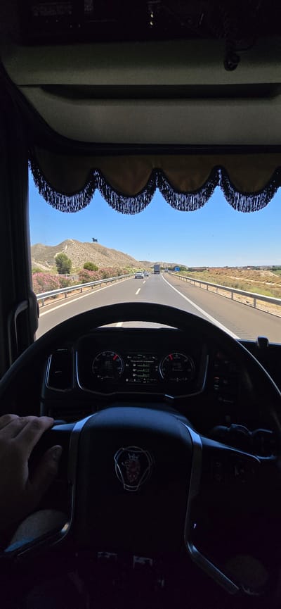 The image is a first-person perspective from inside a truck's cabin, looking out through the windshield. The driver's hands are visible on the steering wheel, which displays the Scania logo. The dashboard shows various gauges and digital readouts, including speed (89 km/h) and time (15:49). Outside, a highway stretches into the distance under a clear blue sky. The landscape includes arid hills with sparse vegetation and pink flowers lining the roadside. A silhouette of a bull stands prominently on top of a hill in the background. Other vehicles, including trucks and cars, are visible on the highway. The scene suggests travel on a sunny day, likely in a rural or semi-arid region of Spain. The location is identified as Alfajarín, Spain, a municipality in the province of Zaragoza.