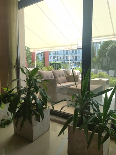 The image captures an indoor view looking out through a large window or glass door towards an outdoor seating area. In the foreground, two large potted plants with broad, dark green leaves are positioned on a light-colored tiled floor. The plant on the left is in a square, light-colored pot with a decorative pattern. The plant on the right is in a similar pot.
Through the window, an outdoor area is visible with wicker furniture, including a sofa and chairs, covered with light-colored cushions. A low table is also present. This seating area is partially covered by a large, cream-colored awning.
Beyond the outdoor seating, a multi-story building with white facades and balconies can be seen. Trees and greenery are also visible in the background. The scene appears to be a relaxed outdoor space, possibly a cafe or hotel terrace, situated in Yagoda, Bulgaria, given the context. The lighting suggests it is daytime. No people are visible in the image.