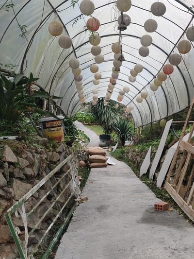 The image depicts a greenhouse with a curved, translucent roof supported by a metal frame. Rows of paper lanterns, predominantly white and cream-colored with some exhibiting pink or red hues, are suspended from the frame, creating a decorative canopy. The greenhouse floor is a paved pathway, winding into the distance. On the left side of the path, a stone wall is visible, topped with lush green foliage. A yellow paint bucket labeled "JOTUN JOYTAPEAST" rests on the stone wall, alongside some potted plants. Further along the path, stacks of sandbags are piled up. On the right side of the pathway, white boards and wooden scaffolding are propped up against the greenhouse structure. A single red brick lies on the ground near the scaffolding. The environment appears to be a garden or nursery, with various plants and greenery visible throughout the scene. The image is taken from a slightly elevated perspective, looking down the pathway into the greenhouse. The scene is tranquil and appears to be an outdoor setting in a temperate climate. The location is identified as Lang Biang - Đà Lạt, Vietnam.