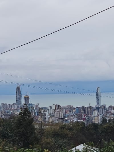 A panoramic cityscape is viewed from a slightly elevated, tree-lined position. Tall buildings define the skyline, with a distinct, patterned skyscraper catching the eye. Power lines diagonally bisect the image, juxtaposing the modern urban landscape against the natural sky. The sky transitions from clear to slightly cloudy. Construction cranes dot the cityscape, suggesting ongoing urban development.