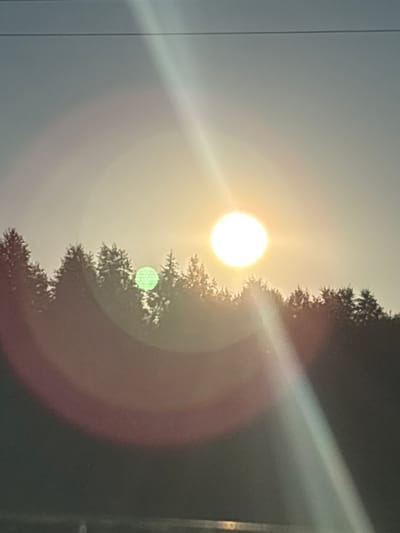 The media file shows a bright sun peeking from behind the silhouette of a tree. The sun is a large, glowing orb that creates lens flares, visible as streaks of light and circular reflections. A peculiar green circular artifact is also present, possibly another lens flare or a digital anomaly. The tree's branches are dark and textured against the bright sky, creating a stark contrast. The sky itself is a soft, hazy white, suggesting it might be dawn or dusk, or perhaps a slightly overcast day. The overall scene evokes a sense of natural beauty and tranquility, with the sun's warmth implied by its brightness. The image appears to be taken outdoors, in a natural setting, given the presence of the tree and the open sky. There is no visible text in the media file. The location context is Makaryev, Russia, which could imply a temperate or northern climate, potentially influencing the quality of light and vegetation.