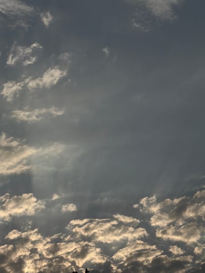 The media file depicts a sky filled with clouds, taken from a low angle, possibly from the ground looking upwards. The clouds are varied, with some appearing wispy and thin, streaking across the frame, while others are more dense and textured, catching the light. On the right side of the image, the clouds are illuminated with a warm, golden light, suggesting either sunrise or sunset. The rest of the sky is a muted gray-blue. There are no people or man-made objects clearly visible, however, a few dark silhouetted shapes at the very top right corner may indicate tree branches or foliage. The overall impression is one of a natural, open-air scene, likely outdoors. The time of day is either early morning or late evening due to the lighting on the clouds. The weather appears to be partly cloudy, with a mix of high and low cloud formations. There is no visible text in the media file.