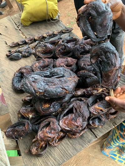 The image depicts a market scene in Gbeleko, Nigeria, focusing on a display of numerous dried or smoked fish on a rustic wooden surface. A large pile of dark brown to black fish, predominantly catfish, occupies the center and right side of the frame. The fish exhibit a shriveled, textured appearance, with some curled and others flattened.
In the upper right quadrant, a dark-skinned hand, clad in dark denim, holds up a large, dark piece of dried fish, presenting it. In the lower right, another dark-skinned hand interacts with the fish pile, holding a light-colored wooden stick or skewer. This individual wears brightly patterned fabric, featuring yellow and blue designs, on their lower body.
To the upper left, a smaller row of similarly dried fish is visible, appearing to be skewered together. Above these, a bright yellow bag rests on the wooden surface, with a rope or string partially visible. The wooden surface itself is composed of weathered planks, showing visible grain and some gaps. The background reveals reddish-brown earth, indicating an outdoor setting, with a glimpse of a green object near the bottom left and a red object below the table's edge.