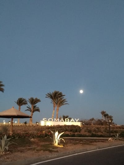 Captured at dusk, the photograph showcases the "SOMABAY" sign in Ras Abu Soma, Egypt. The sign is illuminated and placed on a low, landscaped hill featuring desert vegetation. A few palm trees surround the sign. In the sky, a full moon is visible against the twilight backdrop. A partially visible structure with a thatched roof is to the left of the sign. The image is taken from street level with a paved road in the foreground.