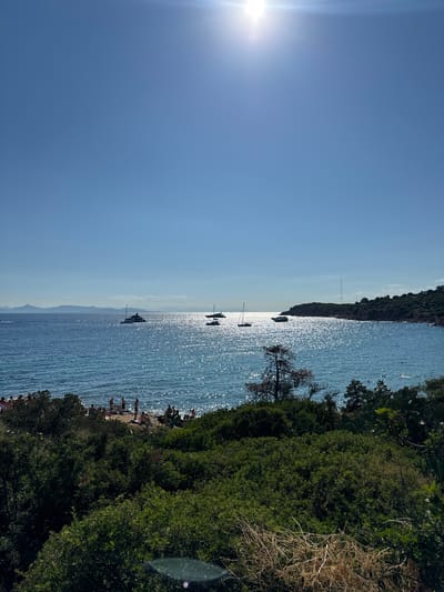 An overhead shot captures a coastal landscape under a bright, clear blue sky with the sun prominently featured in the upper center, creating a sunburst effect and glinting off the ocean's surface. The water is a vibrant blue, with numerous small white highlights indicating sunlight reflection. Several boats, including sailboats and a larger yacht, are visible on the sea. The shoreline is populated by numerous people sunbathing, standing, and walking along the beach and the adjacent rocky, vegetated areas. A dense green canopy of trees and bushes dominates the foreground, with some dry grasses and a sparse, bare-branched tree adding textural contrast. In the distance, a hilly, tree-covered peninsula juts into the sea on the right, and faint mountains are visible on the horizon to the left. The scene depicts a lively beach environment on a sunny day.