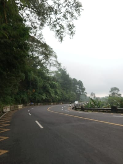 A winding asphalt road curves through a lush green landscape, vanishing into a hazy horizon. Dense vegetation flanks the road, with trees overhanging the path. Safety barriers line the roadside. Yellow and white lines mark the road, and a vehicle is visible in the distance. The weather appears overcast, casting a soft light over the scene.