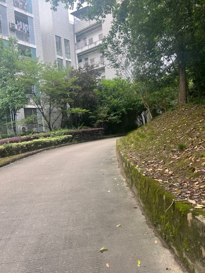 The image depicts a paved pathway curving to the left, bordered by a low, moss-covered stone wall on the right. Beyond the wall, a grassy slope is dotted with fallen leaves and has a tree trunk visible. To the left of the pathway, a row of manicured shrubs in shades of green and purple forms a border. In the background, a multi-story building with balconies is visible, partially obscured by dense green foliage from trees. The architecture suggests a residential or apartment complex. An air conditioning unit is mounted on the exterior wall of the building. The scene appears to be an outdoor area within a developed urban environment, likely in a district like Liandu District, China, characterized by a mix of greenery and modern buildings.