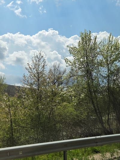 The image shows a partly cloudy sky with cumulus clouds. The vegetation consists of trees with green leaves and some with white blossoms. There is a gray metal guardrail on the right side of the image. The location is Leshnitsa, Bulgaria.