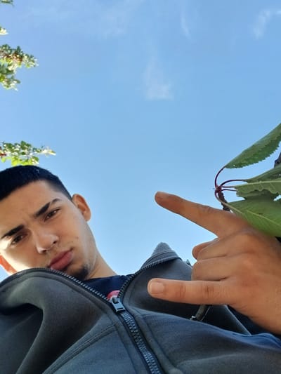 A low-angle, outdoor shot shows a young man with dark hair and light skin wearing a gray hooded sweatshirt. The zipper of the sweatshirt is partially open, revealing a glimpse of a red underlayer. The man is positioned in the upper left portion of the frame, looking down at the camera. His right hand is visible in the lower left of the frame, displaying the "rock on" hand gesture. The background consists of a bright blue sky, with leafy branches in the upper right and lower right corners. The environment suggests an outdoor setting, potentially a park or garden. The location, Svobodinovo, Bulgaria, is not discernible from the image content alone.