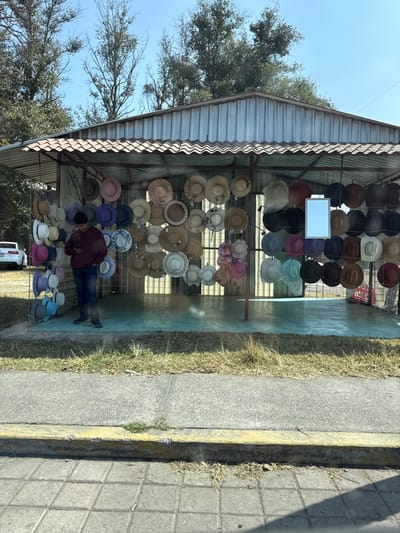 A vendor's stand displays a variety of hats, organized in rows by color and style. A man in a maroon shirt stands among the hats, seemingly tending to them. The stand is under a corrugated metal roof, and trees are visible in the background under a clear blue sky. A sidewalk runs parallel to the stand, bordered by grass.