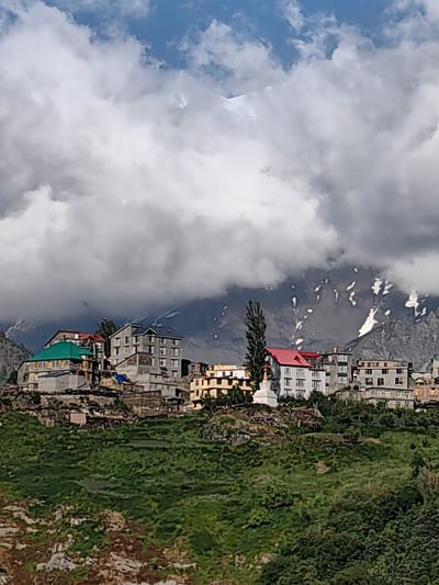 The image shows a cluster of buildings situated on a hillside in Kardang, India. The buildings are multi-story structures with flat roofs and visible windows. Some of the buildings have light-colored facades, while others are darker. One prominent building has a green roof, and another has a red roof. The structures are built close together on the rocky terrain.

The hillside itself is covered with green vegetation, appearing as terraced fields or natural growth. In the background, a large, imposing mountain range is visible, partially obscured by heavy clouds. The mountain slopes show patches of snow and are rocky and barren in some areas. The sky above is a mix of blue and white clouds. A tall, slender tree stands near the center of the buildings, and a white stupa-like structure is also visible on the hillside. The overall scene depicts a village or settlement nestled within a mountainous landscape.