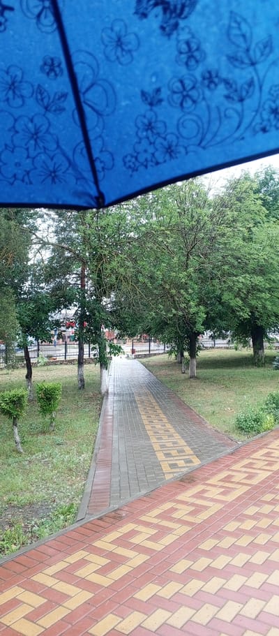 The image captures an outdoor scene, possibly after rain, with a pathway made of interlocking pavers in shades of red and yellow. The pathway leads into a park-like area with trees and grass. The foreground is dominated by a section of red and yellow pavers. In the background, a paved path, also made of pavers, extends into the distance, lined with grass and trees. Beyond the trees, a black metal fence is visible, and behind that, some buildings can be glimpsed. Overhead, a blue umbrella with a floral pattern is partially visible, suggesting it might be raining or recently rained. The overall impression is of a public outdoor space, possibly a park or a recreational area in Zhirnovsk, Russia.