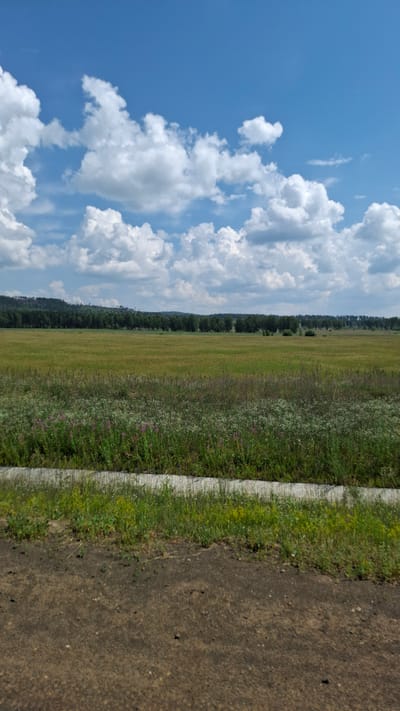 A wide, horizontal outdoor shot shows a rural landscape under a bright, cloudy sky. The foreground is a dirt path with some green weeds. A line of concrete runs horizontally, separating the path from a large, green field. The field is dotted with small purple and white wildflowers and appears to be agricultural land or a meadow. In the distance, a dense line of dark green trees forms a horizon, with a faint line of hills behind them. The sky is a vibrant blue with scattered, fluffy white clouds. There are no people or animals visible in the image, and no specific landmarks indicate a precise location within Nizhny Ingash, Russia, beyond it being a rural area.