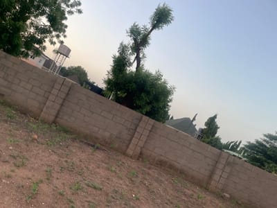 The image displays an outdoor scene at what appears to be dusk, given the soft, diffused light. The foreground is dominated by a low, grey, brick wall, constructed from rectangular blocks. This wall runs horizontally across the frame, with some sections appearing more weathered than others. Above the wall, the ground is covered in dry earth and sparse, green vegetation.

Behind the wall, a large, leafy tree stands prominently, its branches reaching upwards and outwards. The tree has a slender trunk that splits into two main limbs, each adorned with dense foliage. The sky above is a pale blue, transitioning to a lighter hue towards the horizon, suggesting the end of the day.

Further in the background, hints of human habitation are visible. There are rooftops of buildings, including a green-tiled roof. A notable structure is a tall, metallic water tower with a tank at the top, positioned amongst the trees. Lush green trees are scattered throughout the scene, indicating a natural or semi-urban environment. The overall impression is one of a tranquil, possibly rural or suburban setting in Wauro Jabbe, Nigeria, as the day draws to a close. There is no visible text in the image.