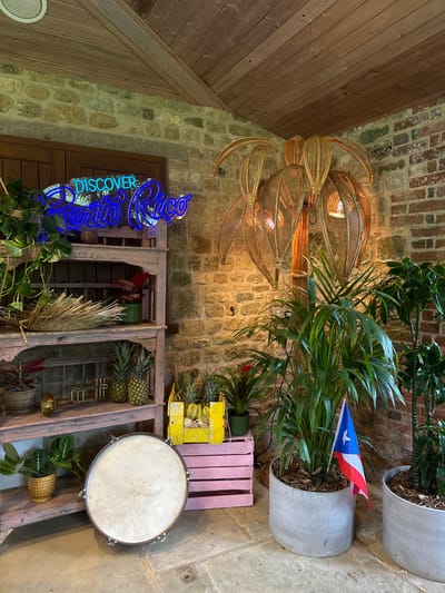 The image depicts an indoor scene featuring a collection of decorative items and plants. Dominating the upper left is a blue neon sign that reads "DISCOVER Puerto Rico." To the right of the sign, a tall lamp with a woven shade resembling palm fronds stands amidst several potted plants. In the foreground, a large drum is placed on the floor, to the left of which is a pink shelf unit displaying pineapples, a trumpet, and various plants. A pink crate filled with pineapples sits to the right of the shelf unit. The background is a stone wall, and the ceiling appears to be made of wooden planks. The overall impression is one of a tropical-themed display. The image does not show any people or suggest any specific activities. There is no indication that this scene is located in Chichester, United Kingdom.