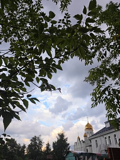 This image captures a view through tree branches, looking towards a cluster of buildings, including a church with golden domes, under a cloudy sky. The church, a prominent feature, exhibits traditional Orthodox architecture with multiple domes topped by crosses. The building itself is light-colored with arched windows. In the foreground, lush green tree leaves frame the scene, suggesting an outdoor setting, possibly a park or a residential area. The sky is a mix of grey clouds with patches of blue and hints of warm light, indicating either dawn or dusk. The lower portion of the image reveals a dark silhouette of trees and a portion of a small structure. The scene is static, with no visible human activity. The overall impression is one of tranquility and architectural beauty set against a natural backdrop. The church pictured is likely the Church of the Transfiguration in Rodniki, Russia, judging by its distinctive golden domes and architectural style, often featured in local imagery.