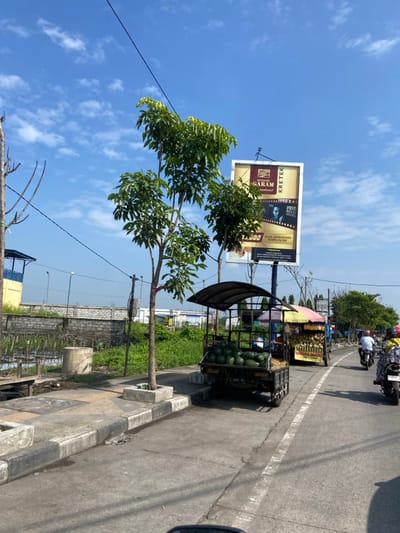 The image shows a street in Kecamatan Tulangan, Indonesia (latitude: -7.48, longitude: 112.644). A large billboard with a cigarette advertisement stands on the right side of the road, partially obscured by a large tree. A vendor is parked on the side of the road, selling watermelons from a small truck. Several motorbikes are parked and driving on the road in the distance. The sidewalk is lined with trees and bushes. The sky is blue and clear, with a few white clouds.