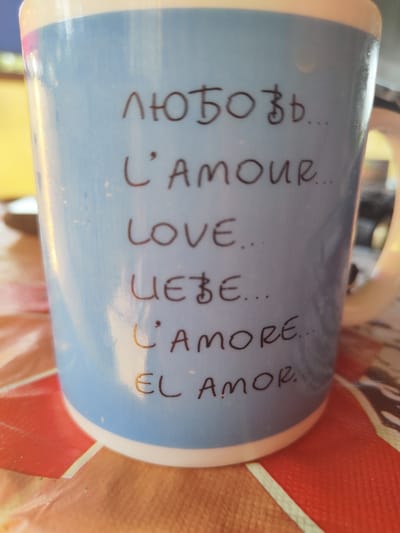 This is a close-up, eye-level shot of a light blue mug. The mug is filled with text in various languages, all seemingly related to the word "love." The text is written in dark brown ink and is in a handwritten style.
The first line appears to be in Cyrillic script and reads "любовь..." which translates to "love."
The second line is in French: "L'AMOUR..." which also translates to "love."
The third line is in English: "LOVE..."
The fourth line is in German: "LIEBE..." which translates to "love."
The fifth line is in Italian: "L'AMORE..." meaning "love."
The final line is in Spanish: "EL AMOR." which means "the love."
The mug is placed on a patterned surface, possibly a tablecloth, with red and orange hues. The background is out of focus, with hints of yellow and brown, suggesting an indoor setting. The lighting is somewhat diffused, with a slight shine on the mug's surface, indicating it is not direct sunlight. There are no people visible in the image. The overall mood is calm and decorative, with the mug serving as the central focus due to the prominent text. The context of "Talitsa, Russia" suggests the location where the mug might be from or used.
