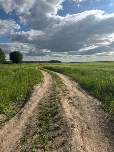 A winding dirt road cuts through a vibrant green field, its edges lined with tall grass. The road curves away into the distance, disappearing behind a line of trees that marks the horizon. The sky above is a dramatic canvas of dark, heavy clouds interspersed with patches of bright blue and sunlight. The overall scene depicts a rural landscape on a day with dynamic weather conditions.