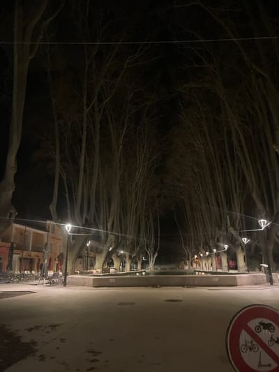 The image captures a nocturnal view of a public square in Cucuron, France. Numerous tall, leafless deciduous trees line both sides of the paved square, their bare branches forming an overhead canopy against the dark sky. A large, rectangular stone basin, consistent with a fountain or water feature, occupies the central ground. On the left side of the square, buildings with light-colored facades, primarily yellow and orange hues, are visible. These buildings feature outdoor seating arrangements with multiple tables and chairs, some equipped with coverings. The scene is illuminated by several streetlights emitting white light, and additional decorative string lights with diamond-shaped fixtures are suspended between the trees on the right. No individuals are present within the frame. In the lower right foreground, a red circular regulatory sign with a diagonal line prohibits motorcycles, bicycles, and scooters.