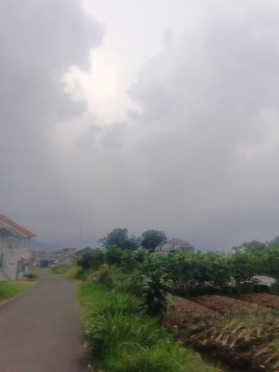 The image depicts an expansive outdoor scene in Morrumbala, Mozambique, under an overcast sky with a brighter patch visible towards the upper left. A dark, paved road originates from the lower-left foreground, curving slightly to the left as it recedes into the midground. To the left of the road, a multi-story building with light-colored walls and a reddish-orange tiled roof is prominently visible. Its left side shows a structure resembling a balcony or veranda. Further down the road, additional smaller structures and dense vegetation are present. To the right of the road, a strip of unkempt green grass transitions into a cultivated area of tilled brown earth containing several short, green plants arranged in rows. Beyond this cultivated land, a dense line of green trees and shrubs forms a visual barrier across the midground. In the distance, multiple residential-style buildings with reddish roofs are discernible amidst the foliage. A tall, slender communication tower is faintly visible against the distant horizon. The background features obscured hills or mountains. No individuals, animals, or active interactions are present within the frame. The overall lighting is diffuse, consistent with a cloudy environment.