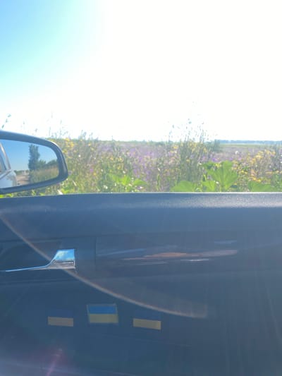 The image shows the interior of a car, looking out towards a field of flowers under a clear sky. A side mirror reflects a dirt road and trees. The car door panel is visible in the foreground, with a chrome door handle and three Ukrainian flags attached below it. The field appears to be in bloom with purple and yellow flowers. The scene is likely captured in Novooleksandrivske, Ukraine.