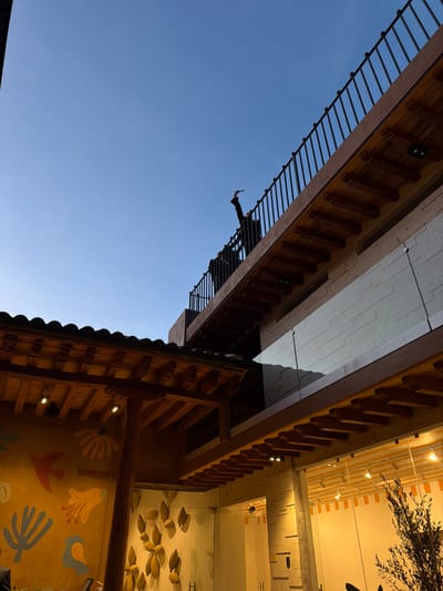 A low-angle shot captures two adjacent buildings against a blue sky. The left building features a dark, brown facade with a metal balcony railing, and a person extends an arm over the railing. The building on the right exhibits a brown wooden structure with dark roof tiles and a wall painted with colorful, abstract floral and avian designs. Above the right building is a brightly lit interior space with decorative elements resembling fish.