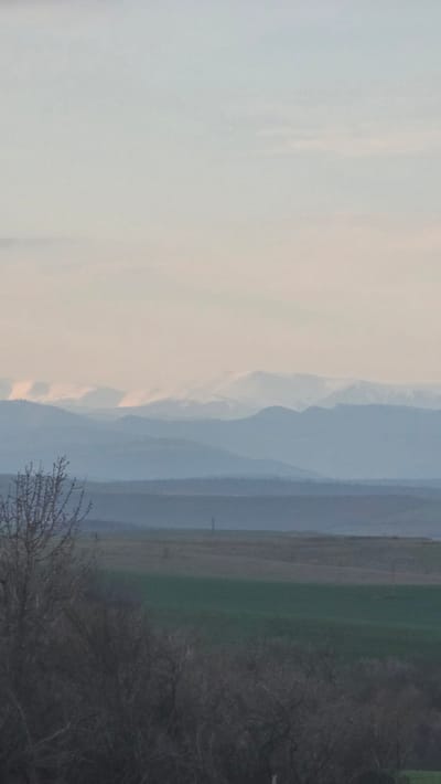 The image displays a panoramic landscape captured in Radomirtsi, Bulgaria. The immediate foreground, primarily in the lower left and bottom center, features dense, leafless deciduous trees and bushes with dark, intricate branches. Beyond this vegetation, the mid-ground presents undulating terrain composed of agricultural fields, some visibly green with crops, others appearing fallow or barren in shades of brown and grey. A solitary, slender, dark vertical structure, consistent with a utility pole or communication tower, is discernible in the mid-distance, slightly to the left of the frame's center. The background reveals multiple layers of distant mountain ranges, exhibiting atmospheric perspective with progressively lighter blue hues. The furthest mountain peaks are capped with visible patches of snow or ice. The sky occupies the upper portion of the frame, a pale, uniform light blue-grey that transitions to a softer, near off-white tone closer to the horizon. No individuals or active subjects are present in the scene.