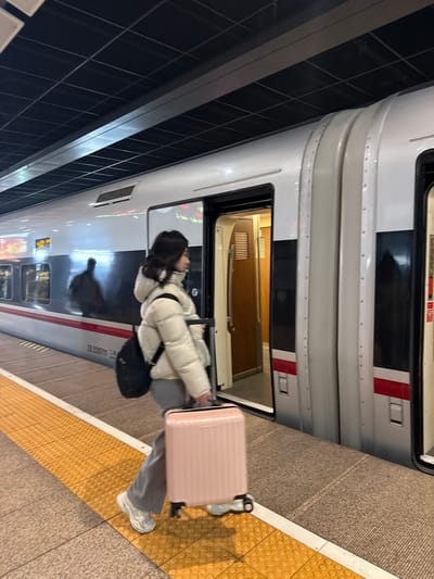 An individual, appearing female, with dark hair, is depicted walking left-to-right across a railway platform in Fengtai District, China. The person wears a cream-colored puffer jacket, grey trousers, and white athletic shoes, pulling a pink wheeled suitcase with their right hand and carrying a black backpack on their left shoulder. They are moving adjacent to a stationary white and black high-speed train, identifiable by the markings "ZE 220711" and partial Chinese characters "三明" on its side. An open train door reveals an illuminated interior corridor. The platform consists of light-colored concrete with a prominent yellow tactile warning strip running parallel to the train. The environment is an indoor railway station, characterized by a dark, grid-patterned ceiling equipped with integrated artificial lighting fixtures.