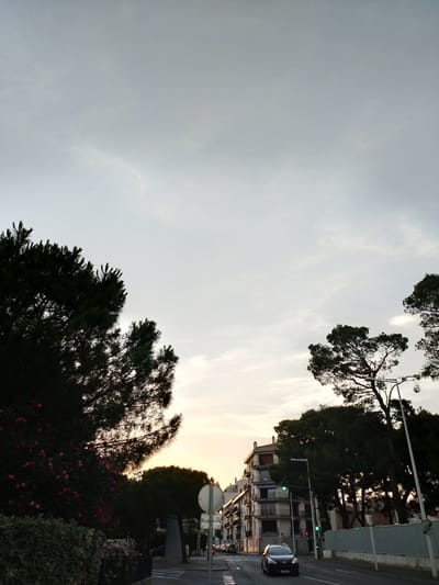 This image captures a street scene in Perpignan, France, during what appears to be dusk or dawn. The sky is overcast and a pale gray, with subtle hints of warm light near the horizon, suggesting the sun is either rising or setting. Tall trees with dark green foliage line the street, creating a silhouette against the sky. Some of the trees have vibrant pink flowers blooming at their base, adding a touch of color to the scene.
In the mid-ground, several apartment buildings are visible. They are multi-story structures with balconies and windows, typical of European urban architecture. A streetlamp with a green light is illuminated, indicating that traffic signals are functioning.
A dark-colored car is driving down the road, its headlights off. The road surface is wet, suggesting recent rain or the presence of dew. A white circular road sign is partially visible on the right side of the image, along with other traffic signs. The overall mood of the image is calm and slightly subdued, with the soft light and the presence of trees and buildings creating a sense of a quiet urban environment. The text "30" is visible on a circular sign, indicating a speed limit.
