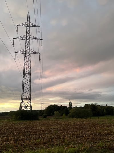 The scene depicts a semi-rural landscape in Anderlecht, Belgium, under an overcast sky at what appears to be either dawn or dusk, characterized by grey clouds with intermittent soft pink and orange hues. A prominent, dark-grey, lattice-structured electricity pylon occupies the left foreground, supporting multiple high-voltage power lines via three tiers of insulators and cross-arms. These power lines extend horizontally across the upper frame and recede into the distance, where a succession of smaller, identical pylons is visible. The foreground consists of a harvested agricultural field, covered in brown and tan crop stubble, with minimal green foliage visible at the extreme bottom edge. A dense, dark green treeline forms the horizon across the mid-ground, containing a distinct tall, slender tree on the right side. No individuals, actions, or interactions are visible within the frame. The environment presents an unpopulated, open agricultural setting.