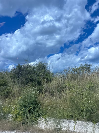 The image depicts an outdoor scene with a focus on vegetation and the sky. The foreground is dominated by tall, dry grasses and various green bushes, some with small white and yellow flowers. In the middle ground, there are dense, thorny bushes and trees. The background is a bright blue sky filled with large, fluffy white clouds. The scene appears to be a natural or semi-natural area, possibly a field or undeveloped land. The location is identified as Konstantinovo, Bulgaria. There are no people or specific structures visible in the image. The lighting suggests it is daytime, with sunlight illuminating the scene.