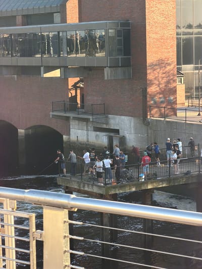 The image shows a scene in Boston, Massachusetts, United States. Several people are standing along a walkway and fishing in the water below. The walkway is bordered by a metal railing. The Charles River flows beneath the walkway. A brick building and a modern glass structure are visible in the background.