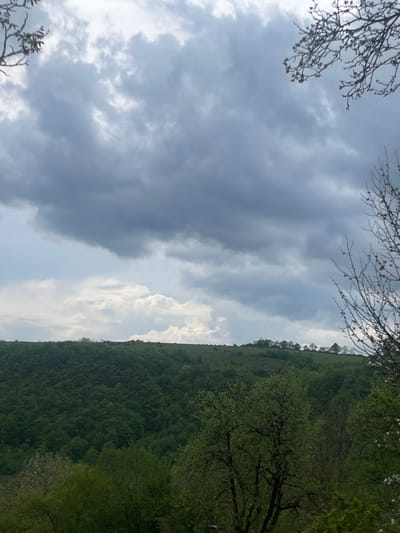 The image shows a landscape in Chiatura, Georgia, with a hill covered in dense green trees on the right side. The left side of the image is dominated by a sky filled with various types of clouds, ranging from dark and heavy to light and airy. Bare tree branches are visible in the top corners of the frame. The photograph is taken from a low angle, possibly from the ground. The light suggests it is daytime.