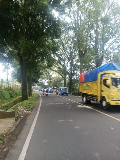 The scene depicts a roadway in Niz Lakuk, India, under daylight conditions. The road is paved with asphalt, featuring a solid white line marking the left edge and a double yellow line delineating the center. A line of mature trees with dense green foliage forms a natural canopy overhead, particularly prominent along the left side of the road where their trunks are visible. To the immediate left of the road is a concrete curb, followed by a narrow strip of ground cover and a concrete drainage channel. Beyond this, an earthen slope covered in vegetation and a simple fence or railing are visible.

In the foreground, a yellow box truck with a blue and orange tarp covering its cargo bed is in motion, moving from right to left across the frame. Its design includes multi-colored graphics on the side. Further down the road, in the mid-ground, multiple vehicles are also in motion. These include at least three individuals operating motorcycles, each wearing a helmet. Two blue vans or minibuses are also present, traveling in the same direction as the motorcycles, away from the viewer. Additional indistinct vehicles are visible in the distant background. All vehicles appear to be operating on the paved road surface.