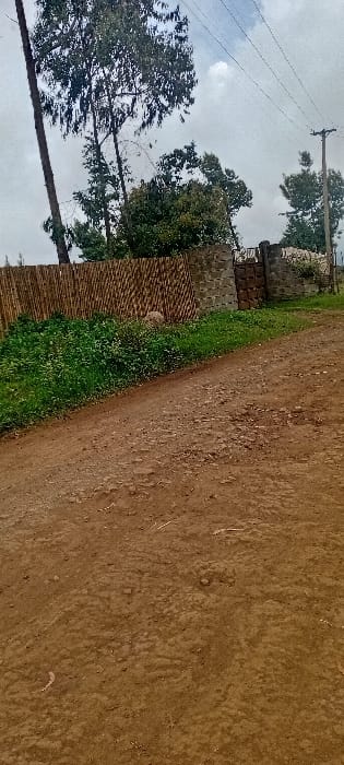 A dirt road stretches into the distance beside a fence that transitions from bamboo to stone. Green foliage grows along the base of the fence. Trees tower above the scene, their branches reaching towards a sky dotted with clouds and power lines. The photograph is taken from a low angle and has been rotated slightly clockwise.