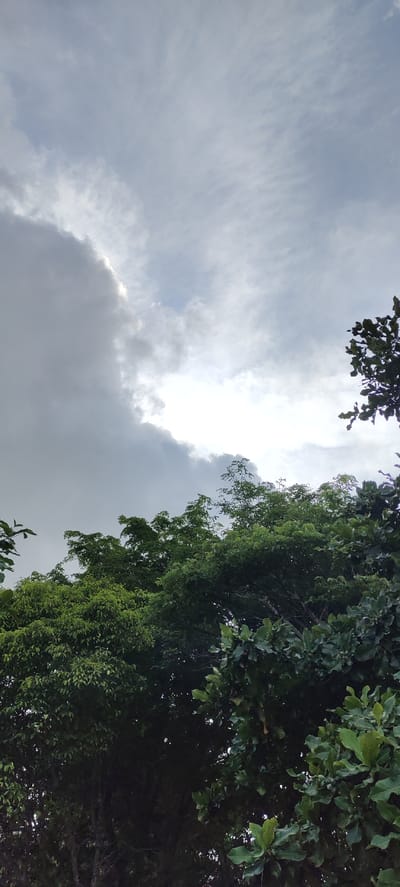The image shows a view looking upwards towards a cloudy sky with lush green trees in the foreground. The clouds are predominantly grey, with patches of brighter white light breaking through, suggesting a partly overcast or stormy day. The trees are dense and full of leaves, forming a canopy that dominates the lower half of the frame. The scene appears to be outdoors, in a natural or semi-natural environment, possibly a park or a residential area with significant tree cover. There are no people or specific landmarks visible to identify a precise location within Langnibong, Indonesia, beyond it being an area with abundant vegetation and a sky with dynamic cloud formations.