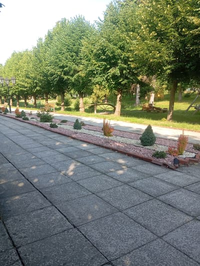 The image depicts a paved walkway in Truskavets, Ukraine, likely in a park or recreational area. The walkway is made of large, square concrete slabs, some of which show signs of wear and cracking. To the left of the walkway, a row of mature, leafy trees forms a canopy, their branches reaching towards the sky. In the background, a grassy area is dotted with more trees, some smaller evergreen trees, and wooden benches. A decorative garden bed runs alongside the right side of the walkway, filled with small shrubs and ornamental plants, bordered by red bricks. The lighting suggests it is daytime, with dappled sunlight filtering through the trees and casting shadows on the walkway. No people are visible in the image.