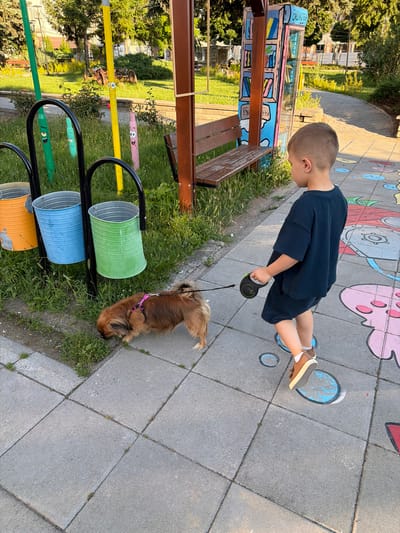 In Ravno pole, Bulgaria, a young boy in a dark blue shirt and shorts walks a small, long-haired brown dog on a leash. The dog is sniffing the ground near three colorful buckets: orange, blue, and green. The boy is holding a black retractable leash. The scene takes place on a paved walkway decorated with colorful painted circles. Behind the boy and to his left, there is a wooden bench and a whimsical structure painted to resemble a bookshelf. Green grass and trees are visible in the background, along with a yellow pole decorated with cartoon eyes. The overall environment appears to be a park or public space.