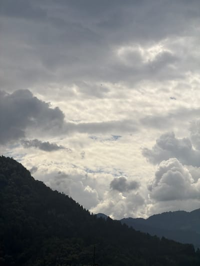 This is a vertical, landscape-oriented photograph of a cloudy sky above a tree-covered mountain slope. The sky is filled with various types of clouds, ranging from dark, heavy storm clouds on the left to lighter, brighter clouds illuminated by sunlight on the right. The mountain slope on the right side of the frame is densely forested and appears dark, suggesting it is in shadow or that the image was taken in the late afternoon or early evening. There is a faint, dark silhouette of a distant bird visible in the upper left portion of the sky. A single, dark utility pole with some wires is visible on the far right side of the mountain. The overall mood is dramatic due to the contrast between the dark clouds and the illuminated sky, and the imposing presence of the mountain. The time of day appears to be late afternoon or early evening, with the sun possibly setting behind the clouds or the mountains. There is no visible text in the image.