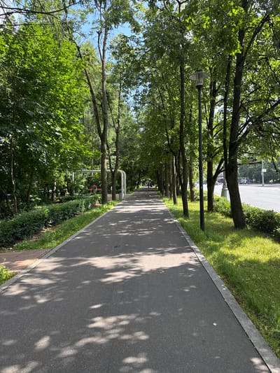 The image depicts a tree-lined pedestrian pathway in the city of Zelenograd, Russia. The pathway is paved with asphalt and is bordered by lush green grass and manicured hedges on the left, and a grassy area with trees and a street on the right. Sunlight filters through the dense canopy of trees, casting dappled shadows on the pathway. A single lamppost stands along the path, its modern design contrasting with the natural surroundings. In the background, a street with vehicular traffic and pedestrians can be observed, suggesting an urban park or residential area. A person can be seen in the distance walking on the path. The overall scene conveys a sense of tranquility and natural beauty within an urban setting.