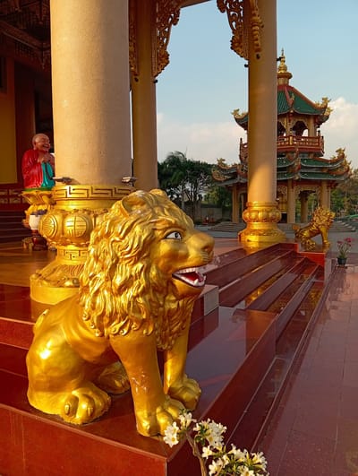 The image captures a vibrant, sunlit scene within a Buddhist temple complex, specifically in Phù An, Vietnam. The time of day appears to be golden hour, as warm, directional light bathes the structures in a radiant glow, casting soft shadows. The sky is clear blue with minimal clouds.
In the immediate foreground, a magnificent golden lion statue sits prominently on a set of polished red marble steps. The lion features a detailed mane, an open mouth revealing teeth, and large eyes. White flowers with yellow centers are clustered near its front paw. The red marble steps reflect the golden light, creating a glossy surface.
Further back, large, textured golden pillars rise, supporting the temple's ornate ceiling. To the left, partially obscured by a pillar, is a cheerful, laughing Buddha statue, adorned in bright red and teal robes, seated on a golden pedestal. The base of the pillar behind the foreground lion features intricate golden decorative patterns, resembling auspicious symbols or stylized characters.
In the mid-ground and background, a striking multi-tiered pagoda building with traditional green tiled roofs and elaborate golden ornamentation stands tall. Another smaller golden lion statue is visible near the base of this distant pagoda, mirroring the one in the foreground. Lush green trees are visible around the temple grounds, complementing the golden and red architecture. The overall atmosphere is one of grandeur, peace, and spiritual reverence. No explicit readable text is visible, only decorative patterns.