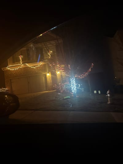 A nighttime view from inside a vehicle captures a brick building adorned with holiday lights. Garlands and strings of lights outline windows and architectural features. A decorated tree stands prominently, its branches illuminated by a dense cluster of white and red lights. A fire hydrant is visible in the background. The darkness of the vehicle's interior frames the festive scene.